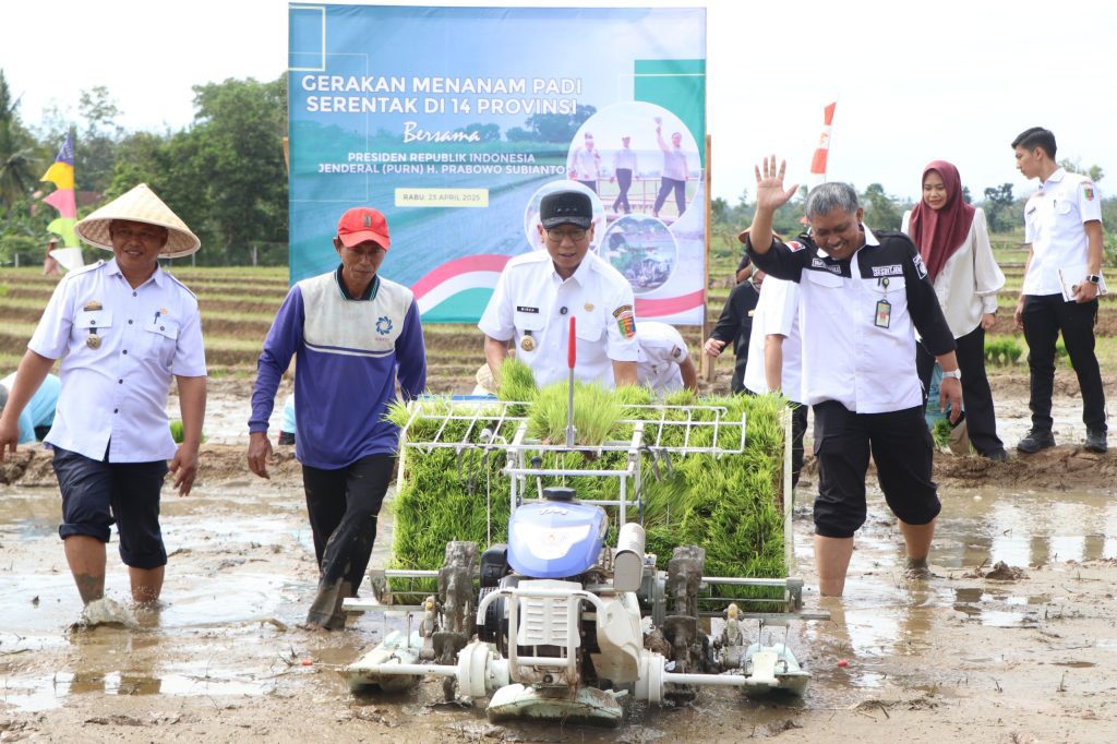 Gerakan Indonesia Menanam, Lampung Pacu Produksi Padi dan Serapan Gabah 1 Bkcalr3GbV7nSIkYRyY4IeDl7zj6jlgsN1HFMjIw
