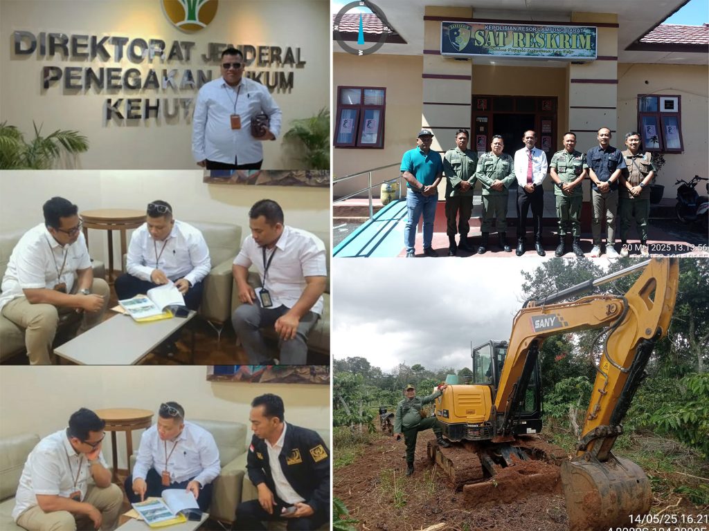Ada Permainan Oknum DPRD dan Pembiaran Pemda Lambar Dinas Kehutanan Lampung dan Satuan Polhut ok