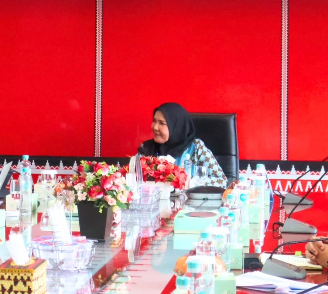 Walikota Eva Dwiana Bahas Optimalisasi PAD dan KPBU SPAM dengan BPKP Lampung e1750520956218