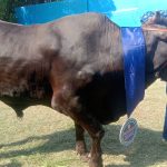 WhatsApp Image 2025 06 04 at 21.35.50 2dc88977