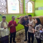 WhatsApp Image 2025 06 05 at 03.40.07 39cf408b e1749124845301