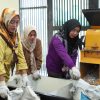 Dukung Asta Cita Presiden, Proyek Tol Bakter Gencarkan Ketahanan Pangan 2 Gambar WhatsApp 2025 07 29 pukul 14.30.39 848a301a