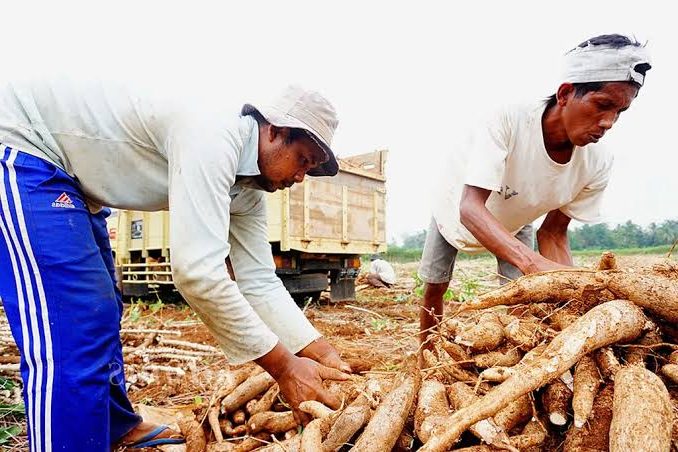 Gambar WhatsApp 2025 08 21 pukul 22.12.32 79161655 e1755792912675