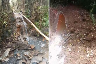 Diduga Cemari Lahan Warga, Barisan Muda Indonesia Laporkan PT Min Gok Indonesia