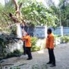 TRC Bandar Lampung Evakuasi Pohon Tumbang
