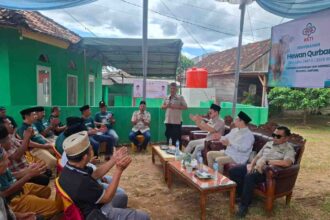 HKTI Lampung Salurkan Hewan Kurban ke Hajimena, Umar Ahmad Antar Langsung ke Lokasi