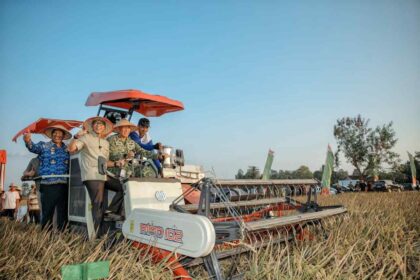Panen Raya TNI Serentak Digelar di Lampung Tengah, Dukung Penuh Swasembada Pangan