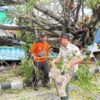 Antisipasi Pohon Tumbang, DLH Bandar Lampung Sisir Pohon Tua dan Lapuk 2 Antisipasi Pohon Tumbang, DLH Bandar Lampung Sisir Pohon Tua dan Lapuk